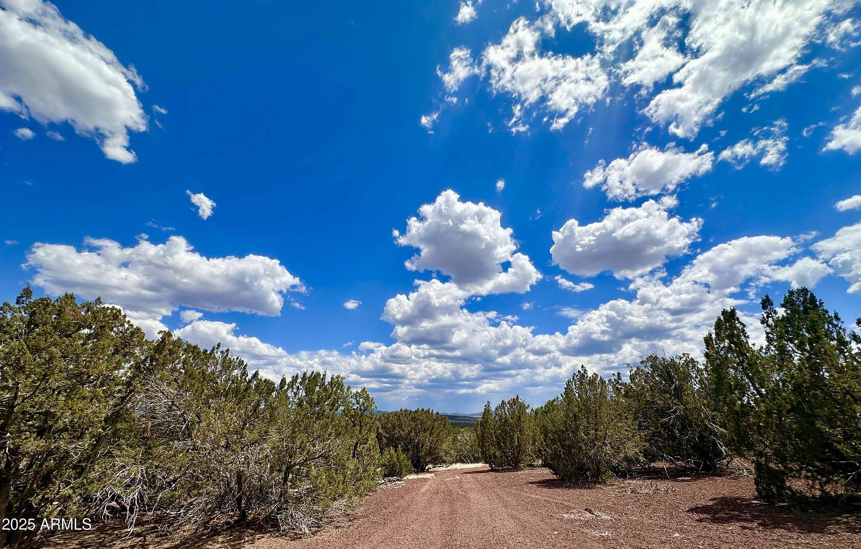 2.54 Acres of Land for Sale in Concho, Arizona