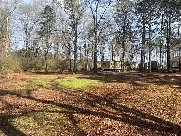 12.3 Acres of Recreational Land for Sale in Abbeville, Alabama