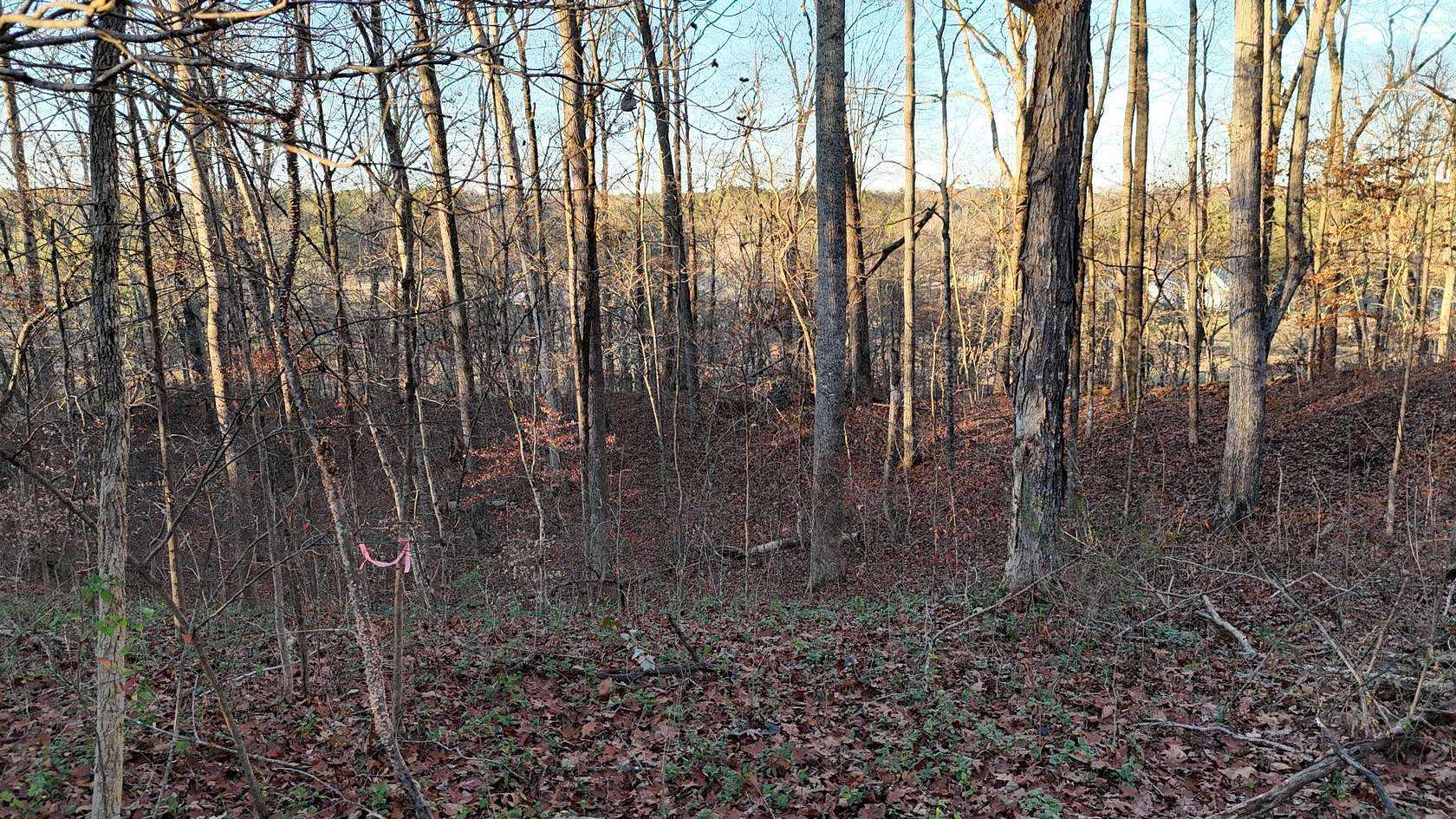 7.49 Acres of Land for Sale in Cleveland, Tennessee