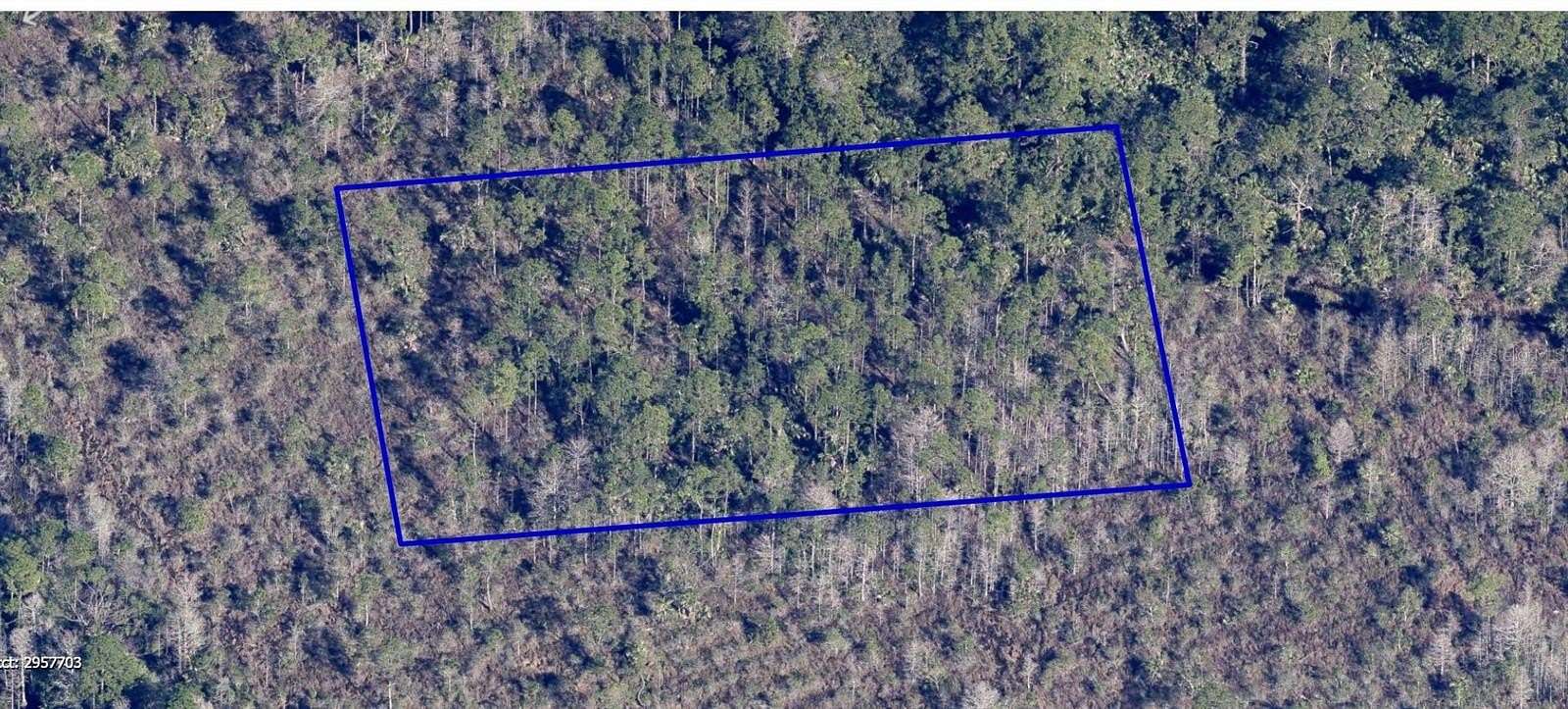 1.4 Acres of Residential Land for Sale in Grant, Florida