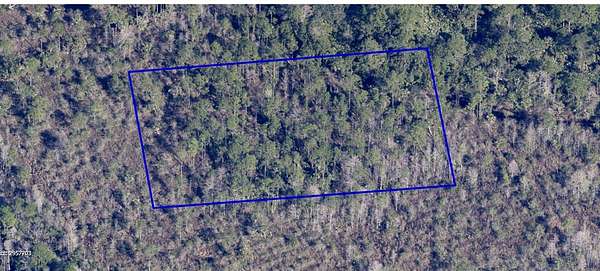 1.4 Acres of Residential Land for Sale in Grant, Florida