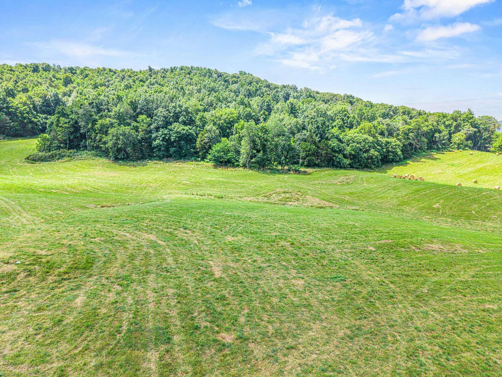 44 Acres of Land for Sale in Monticello, Kentucky
