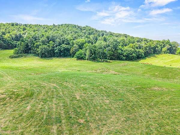 44 Acres of Land for Sale in Monticello, Kentucky