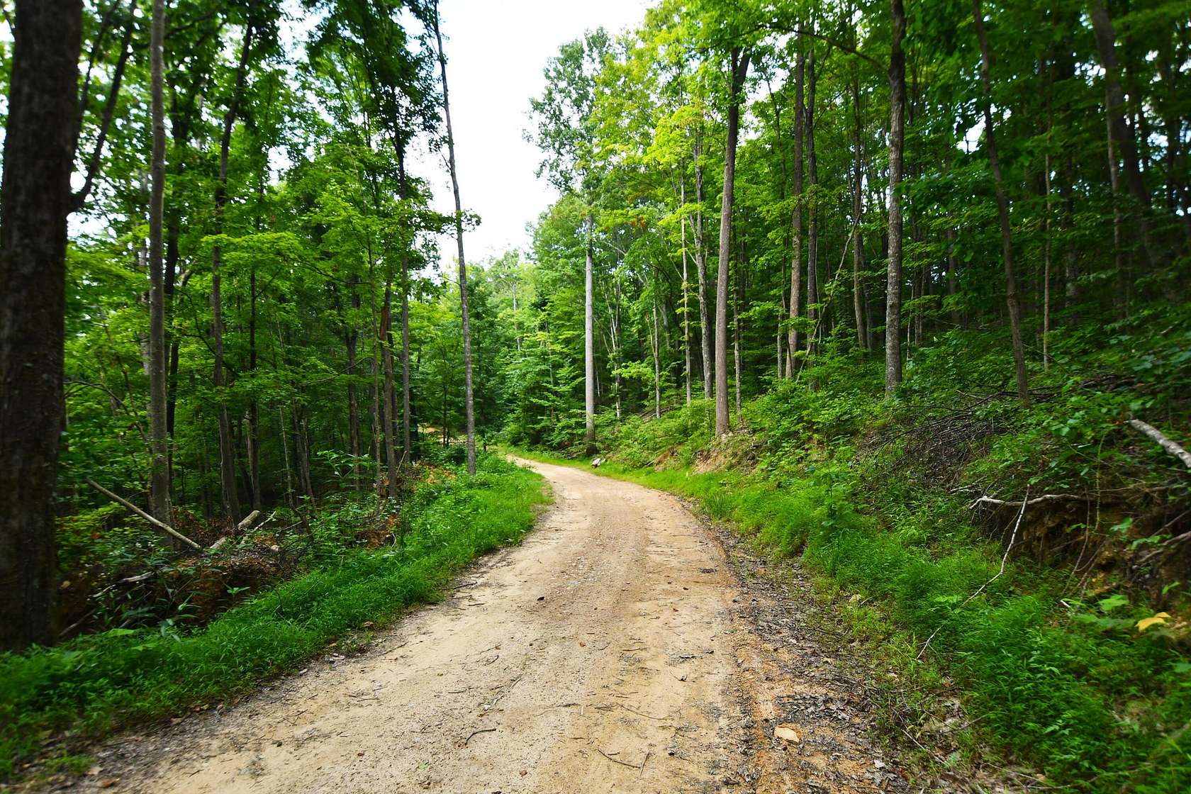 55 Acres of Recreational Land for Sale in Irvine, Kentucky