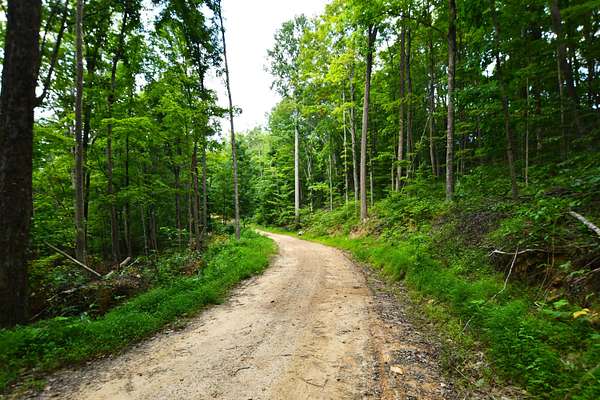 55 Acres of Recreational Land for Sale in Irvine, Kentucky