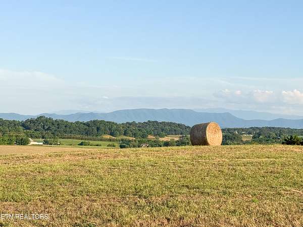 5 Acres of Residential Land for Sale in Talbott, Tennessee