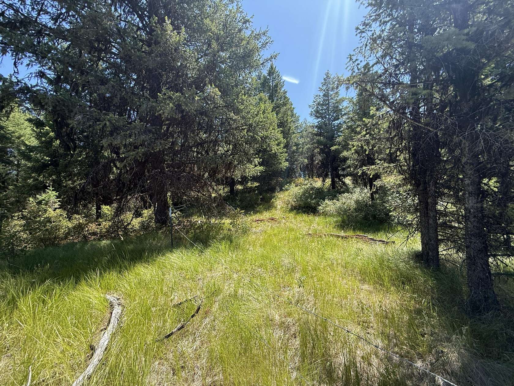 20 Acres of Recreational Land for Sale in Republic, Washington