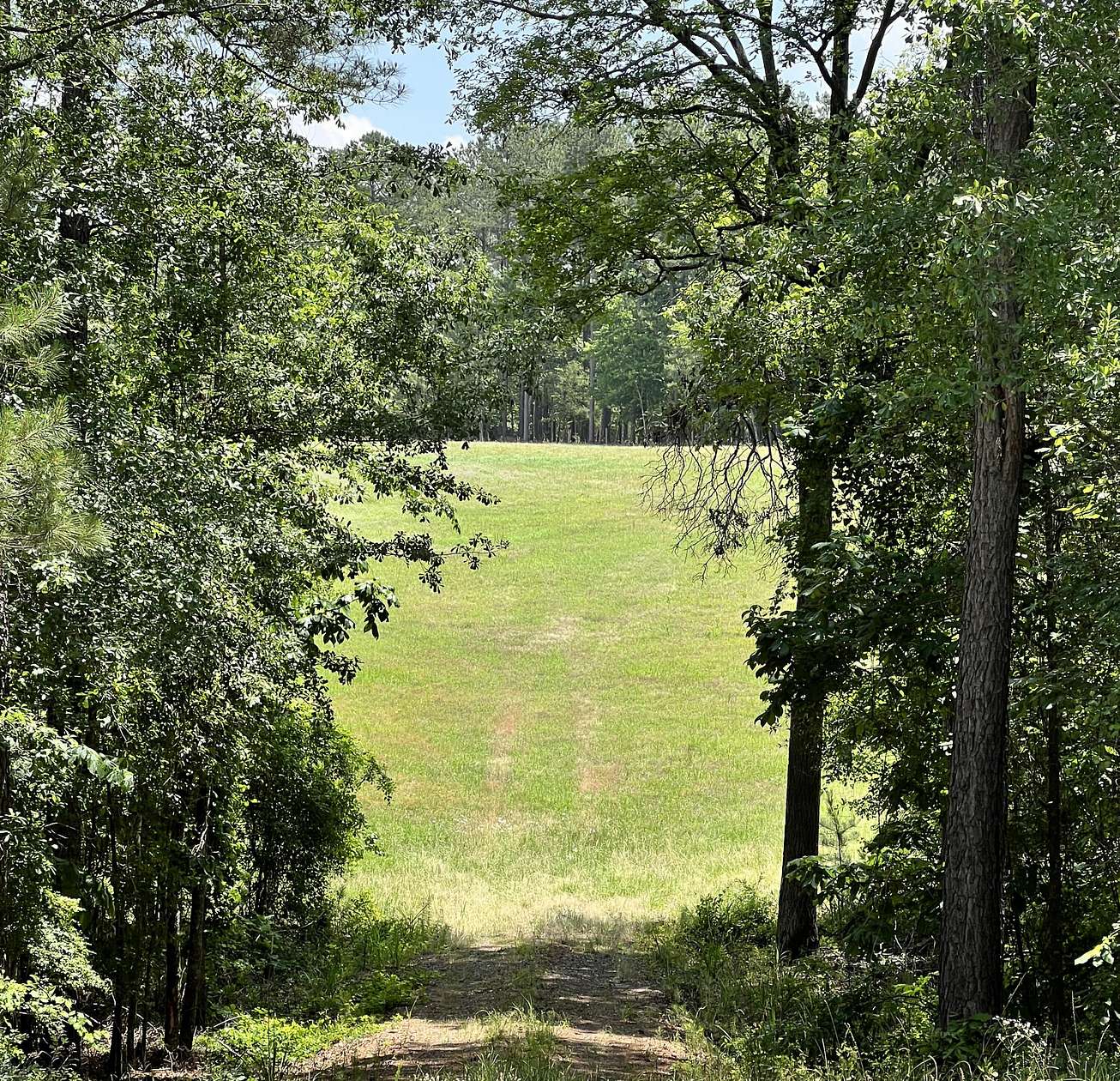 20 Acres of Land for Sale in Aiken, South Carolina