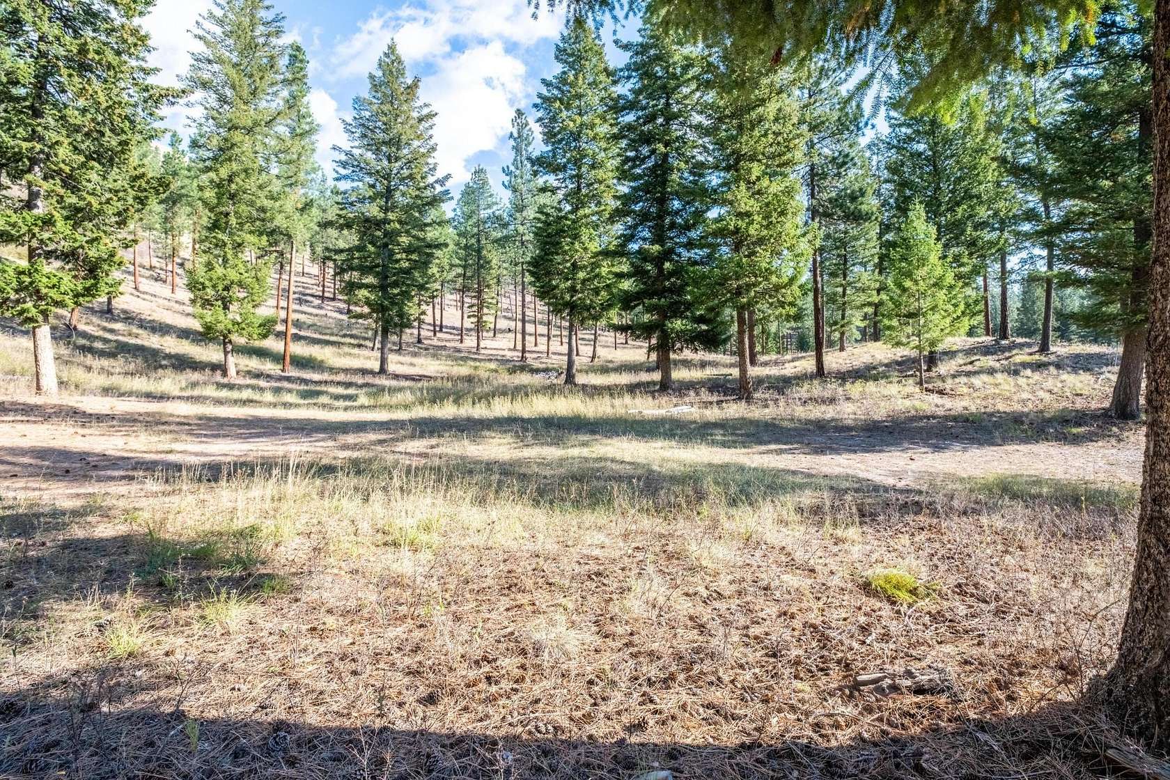 1 Acre of Residential Land for Sale in Clinton, Montana