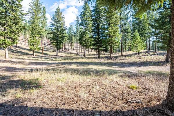 1 Acre of Residential Land for Sale in Clinton, Montana