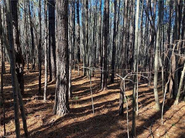 2.85 Acres of Residential Land for Sale in Star, North Carolina