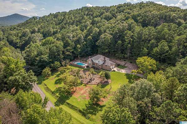 3.2 Acres of Residential Land with Home for Sale in Piedmont, Alabama