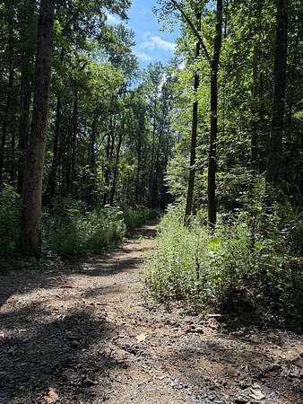 11.4 Acres of Recreational Land for Sale in Cohutta, Georgia