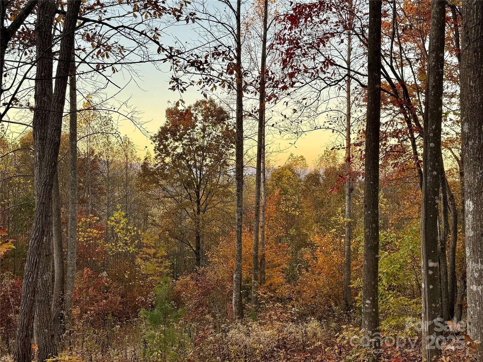 7.2 Acres of Residential Land for Sale in Nebo, North Carolina