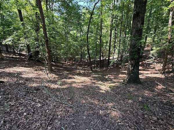 1 Acre of Land for Sale in Ellijay, Georgia