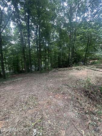 0.41 Acres of Residential Land for Sale in Knoxville, Tennessee
