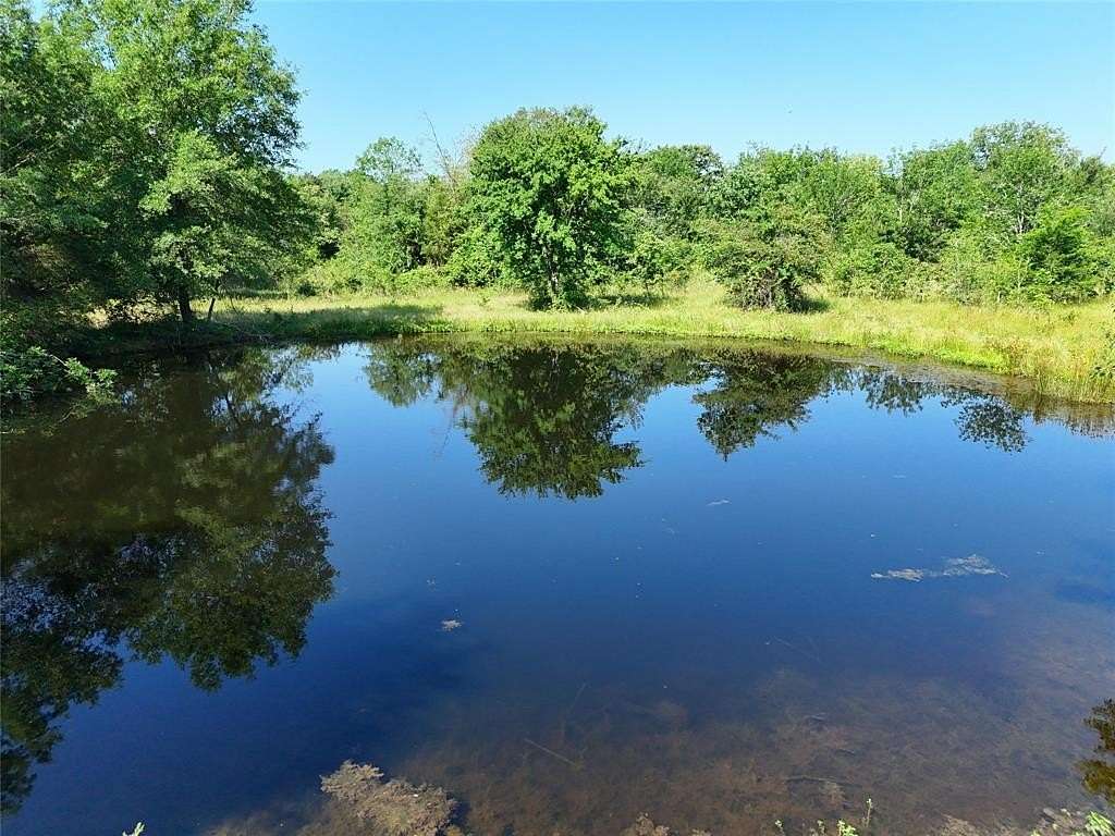 46 Acres of Recreational Land for Sale in Talco, Texas