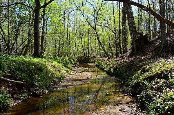 87 Acres of Recreational Land for Sale in Pelham, North Carolina