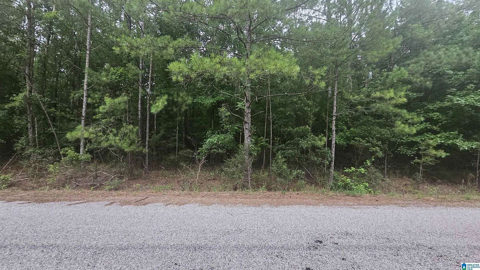 3 Acres of Land for Sale in Selma, Alabama