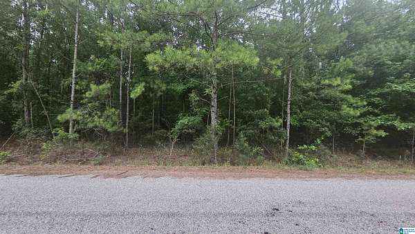 3 Acres of Land for Sale in Selma, Alabama