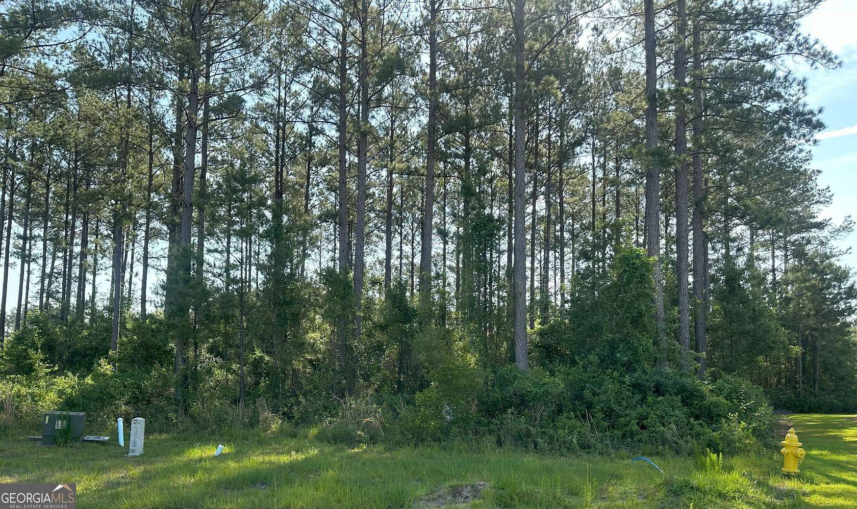 0.87 Acres of Residential Land for Sale in Kingsland, Georgia
