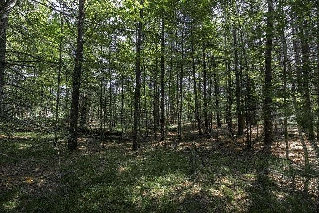 1.22 Acres of Residential Land for Sale in Woodruff, Wisconsin