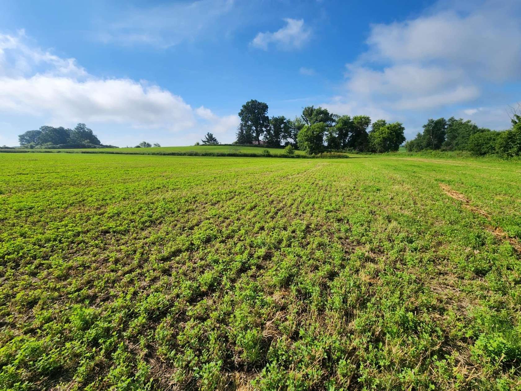 15.5 Acres of Land for Sale in Marshfield, Wisconsin