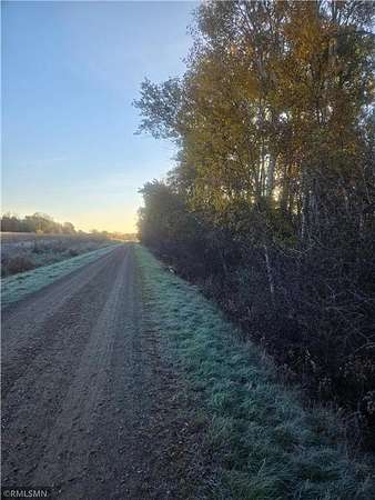 12.5 Acres of Recreational Land for Sale in Foley, Minnesota