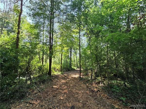 10.7 Acres of Recreational Land for Sale in Barker, New York