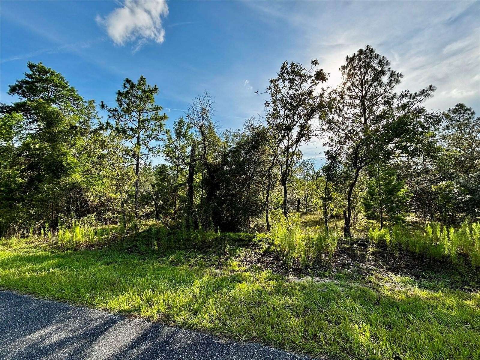 0.25 Acres of Residential Land for Sale in Dunnellon, Florida
