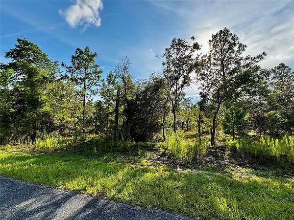 0.25 Acres of Residential Land for Sale in Dunnellon, Florida