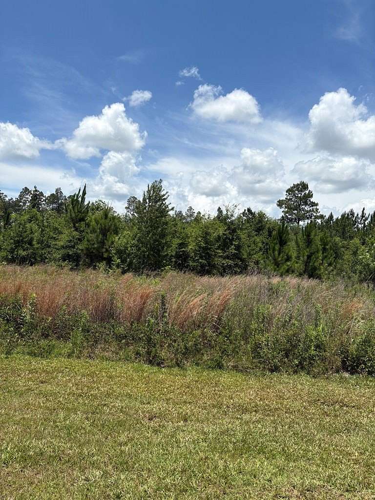 1.2 Acres of Residential Land for Sale in Donalsonville, Georgia