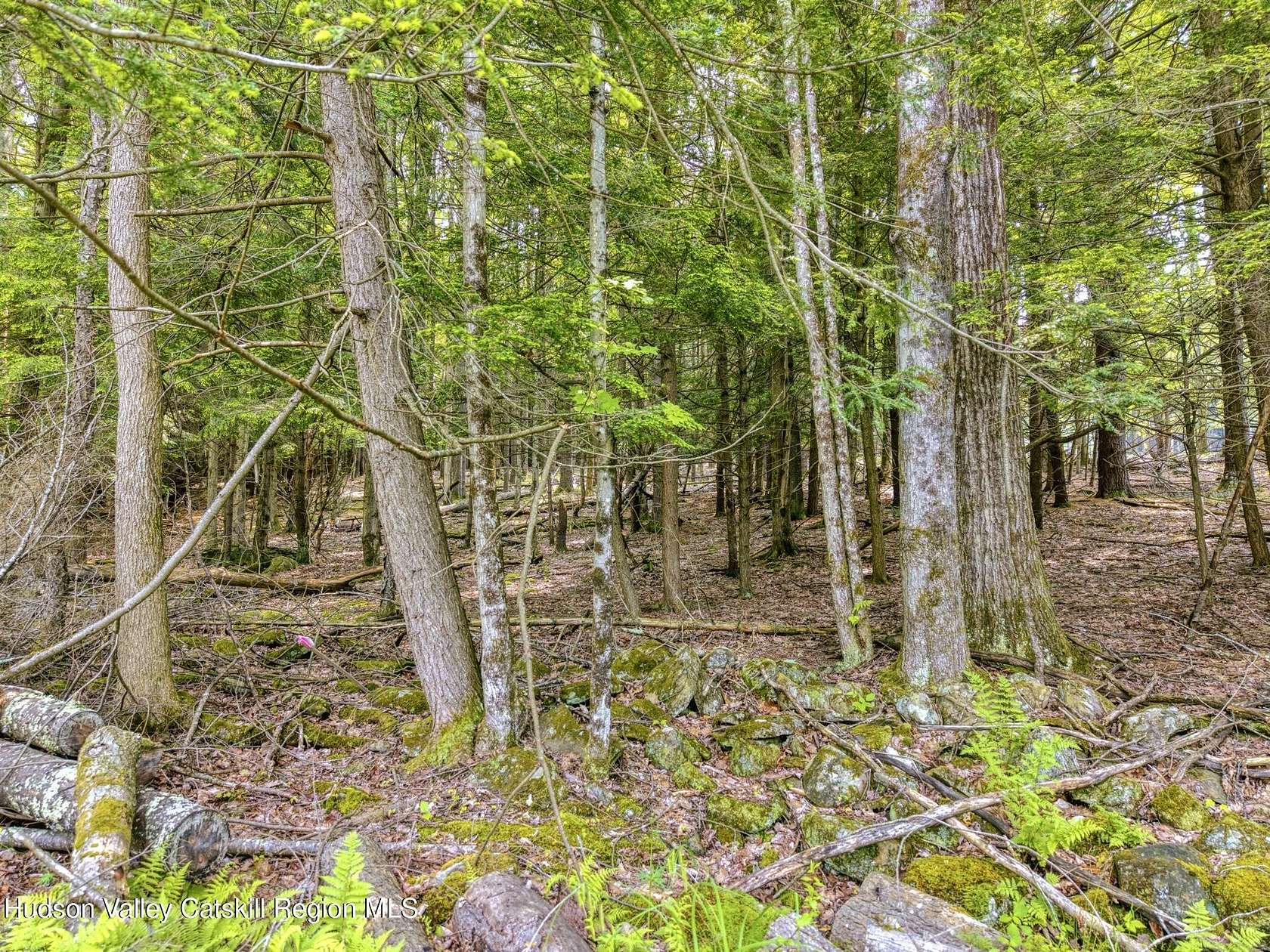 8.33 Acres of Residential Land for Sale in Windham, New York