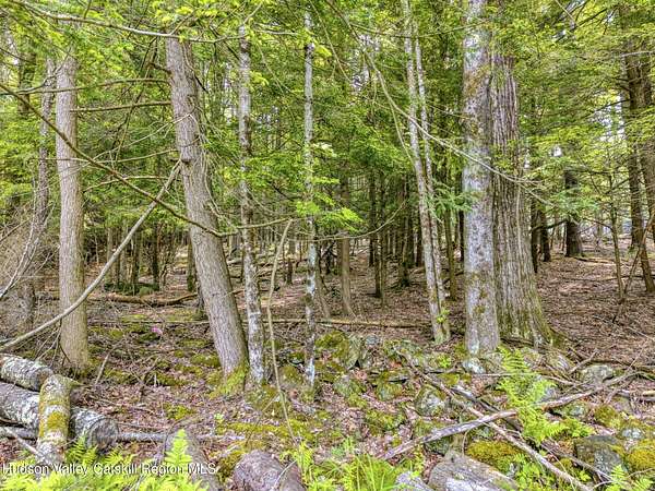 8.33 Acres of Residential Land for Sale in Windham, New York