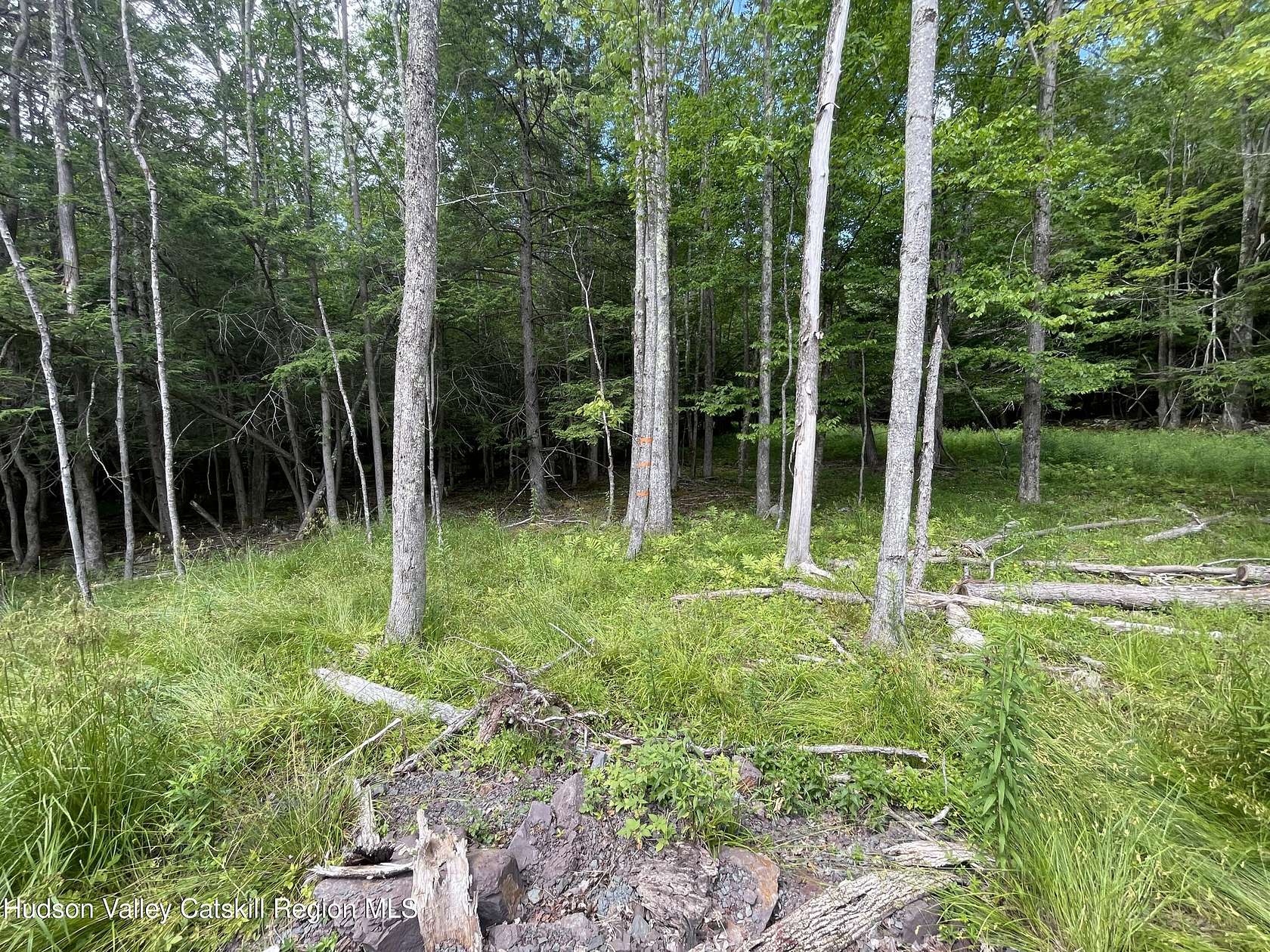 6 Acres of Residential Land for Sale in Windham, New York