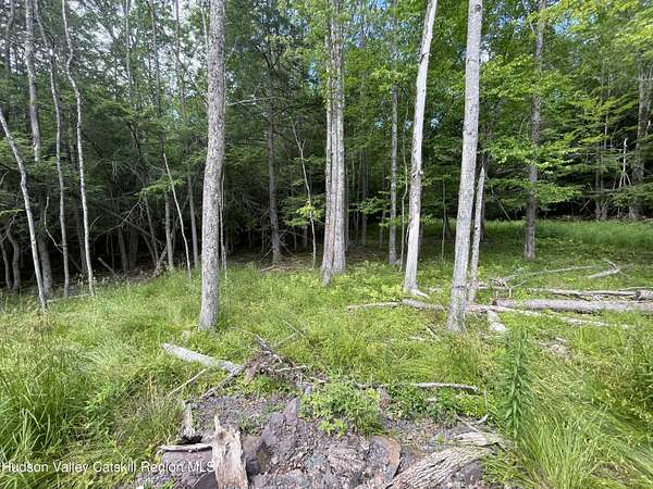 6 Acres of Residential Land for Sale in Windham, New York