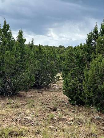 35.3 Acres of Land for Sale in Walsenburg, Colorado