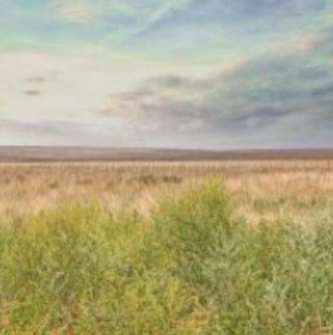 40 Acres of Agricultural Land for Sale in Wildorado, Texas