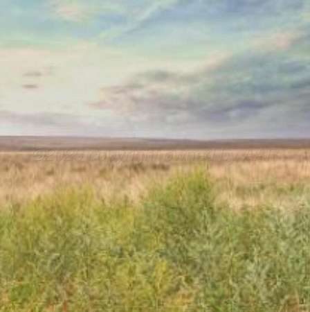 40 Acres of Agricultural Land for Sale in Wildorado, Texas