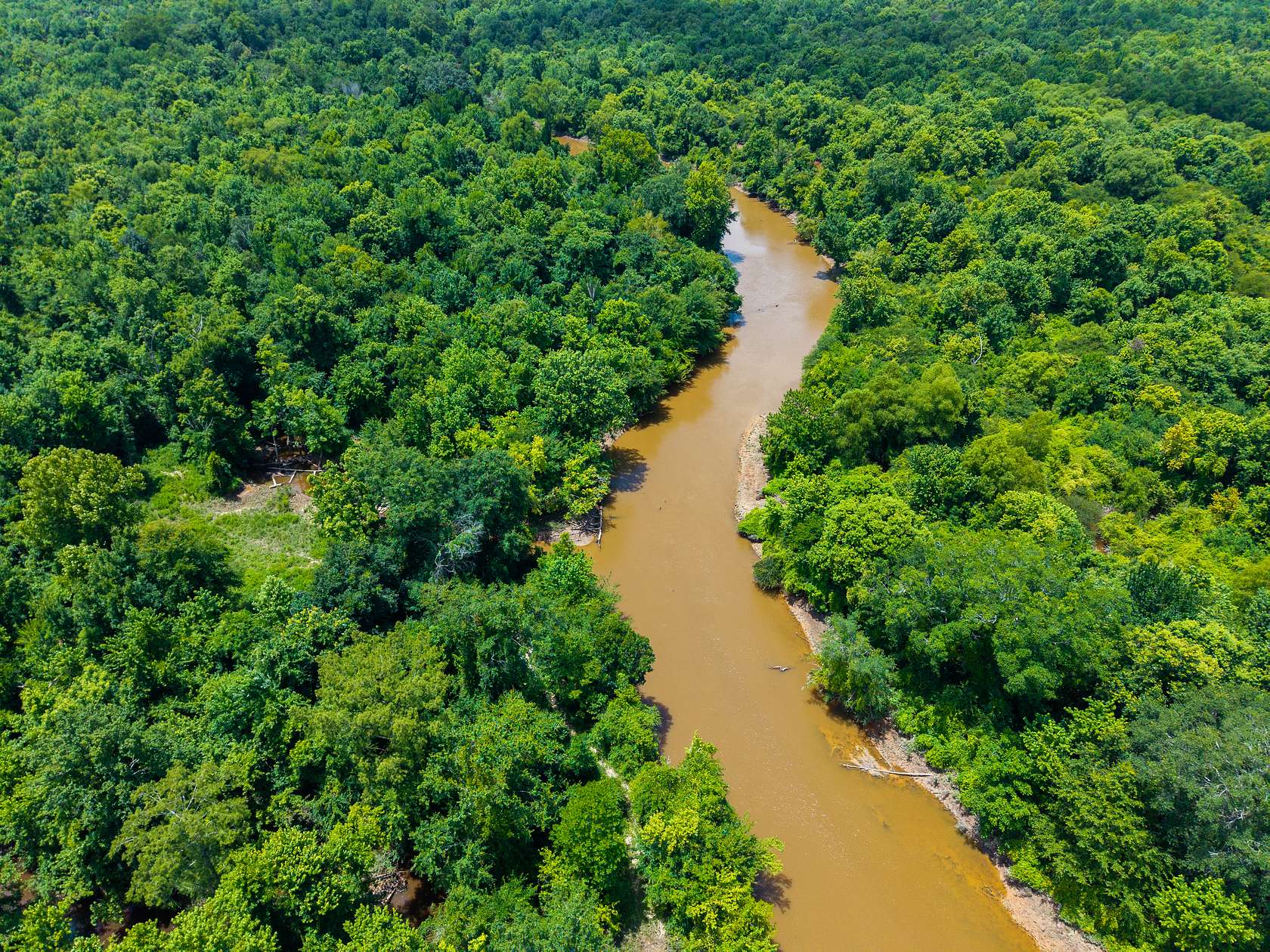 366 Acres of Recreational Land for Sale in Vaiden, Mississippi