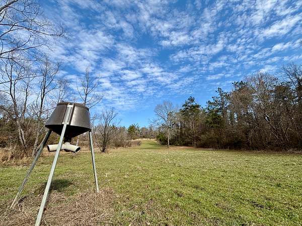 366 Acres of Recreational Land for Sale in Vaiden, Mississippi