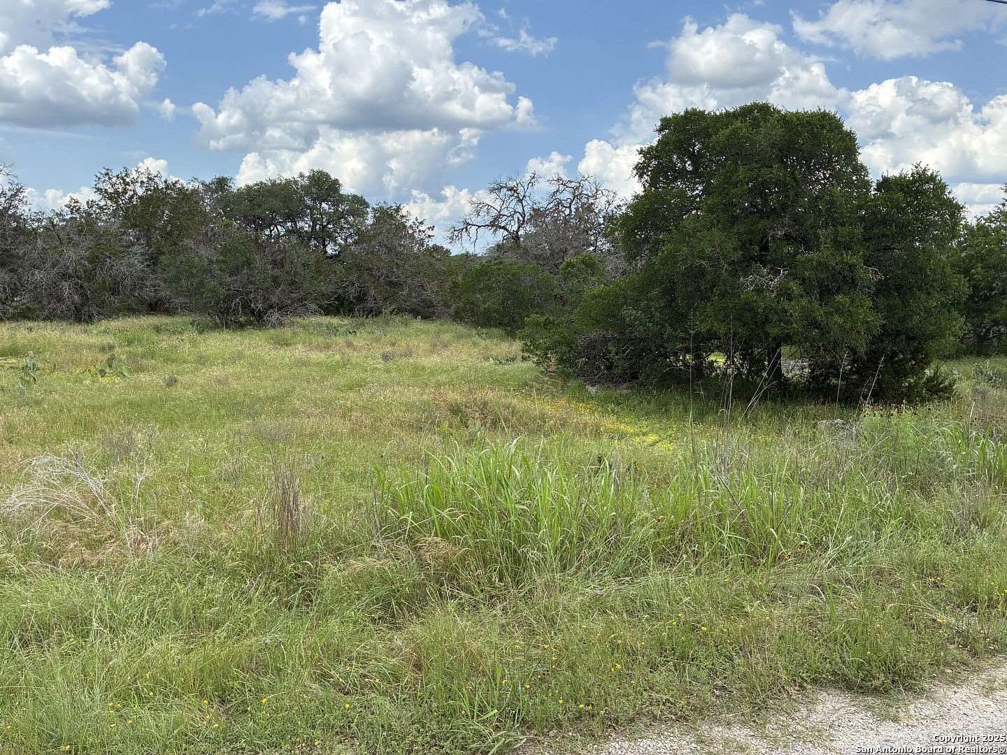 0.9 Acres of Residential Land for Sale in Spring Branch, Texas