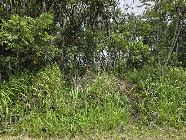 Zip Code 96778 Land for Sale - 513 Properties - LandSearch