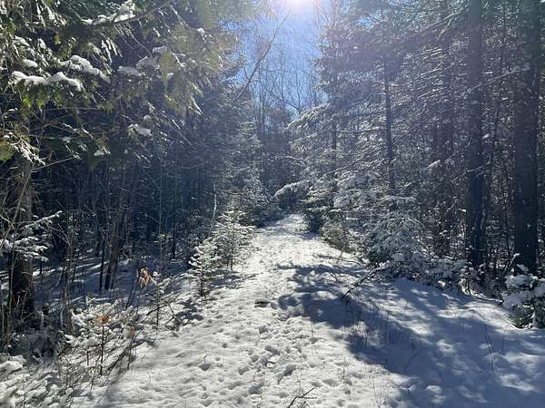 4 Acres of Residential Land for Sale in Saint Albans, Maine