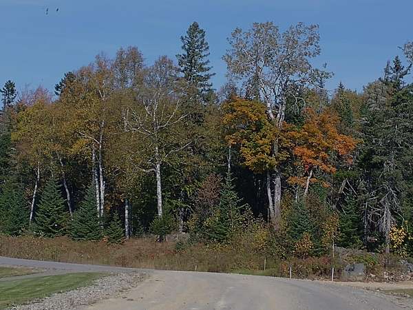 1.2 Acres of Residential Land for Sale in Rangeley, Maine