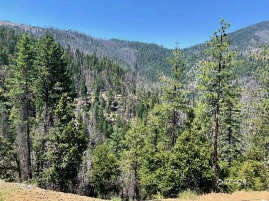 40 Acres of Recreational Land for Sale in Junction City, California