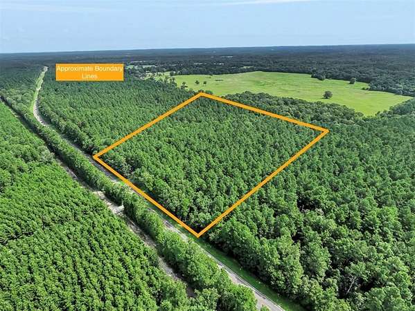 22 Acres of Recreational Land for Sale in Lufkin, Texas