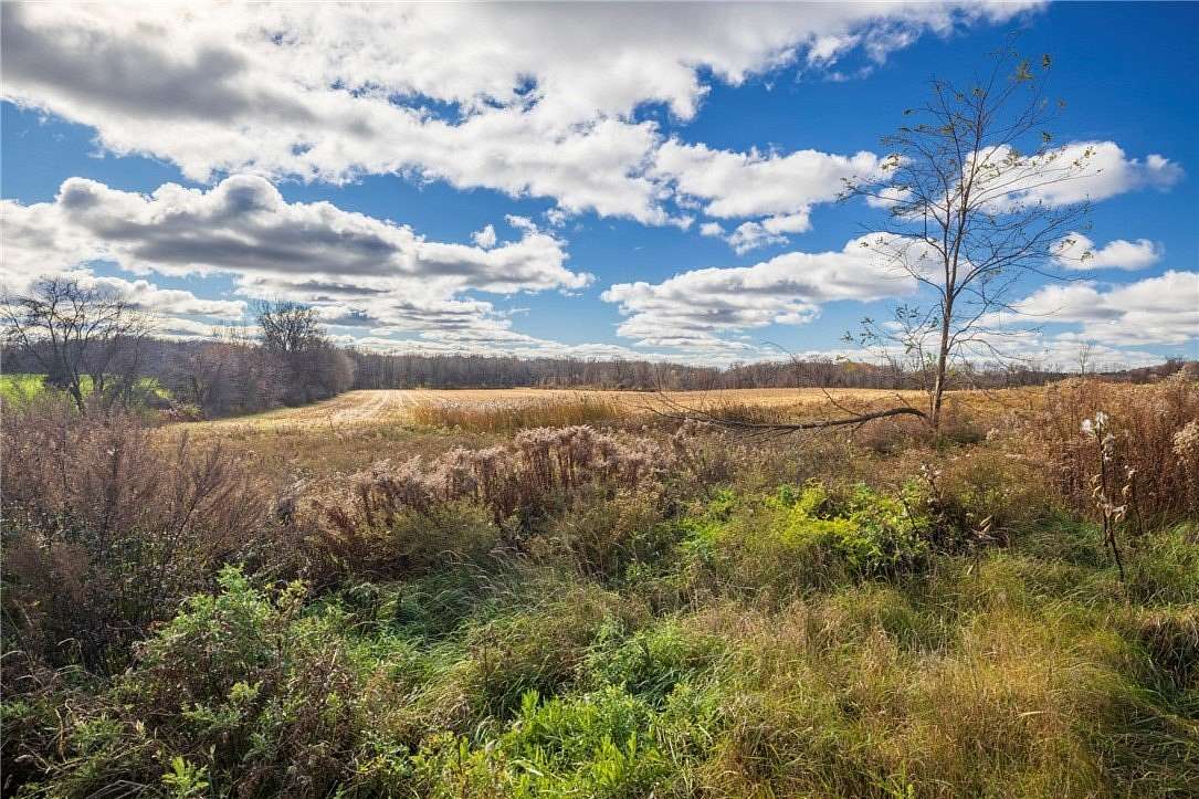 58.2 Acres of Recreational Land for Sale in Rush, New York
