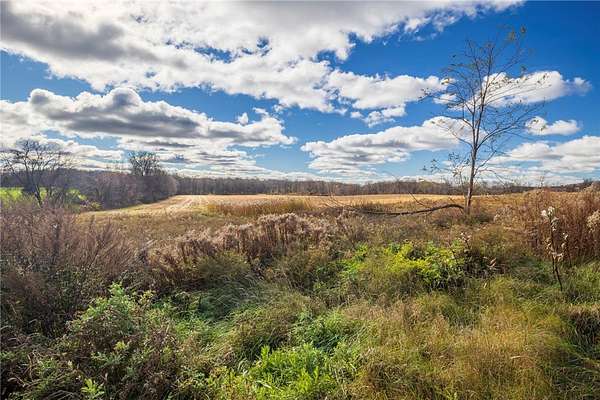 58.2 Acres of Recreational Land for Sale in Rush, New York