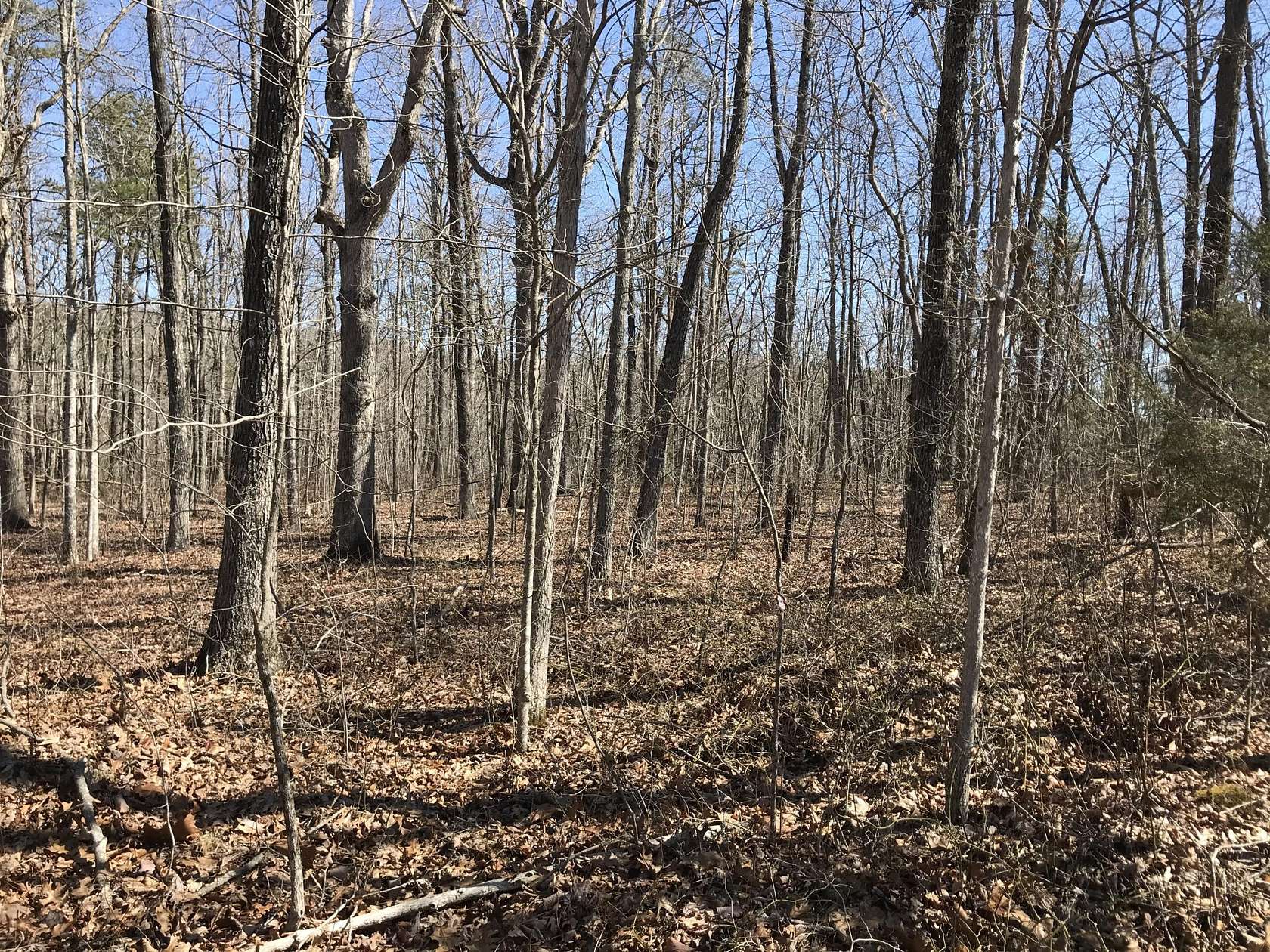 5 Acres of Land for Sale in Dunlap, Tennessee